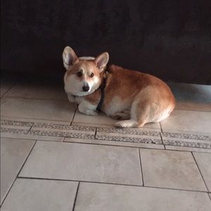 Meet your Posher, Ramica