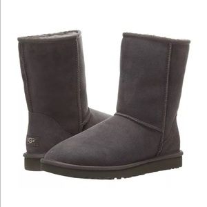 🚫SOLD🚫Brand New Classic Short UGG Boots