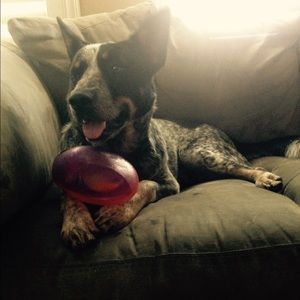 Meet your Posher, Hailey