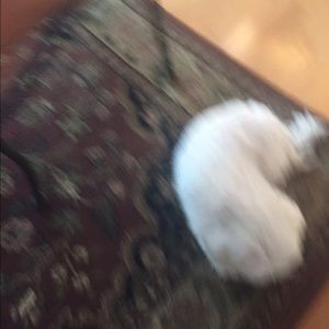 Meet your Posher, Jen