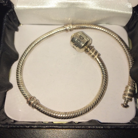 Pandora Charm Bracelet