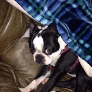 Meet your Posher, Kim