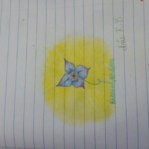 Meet your Posher, Iris