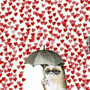 Meet your Posher, Caitlin