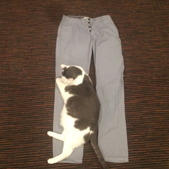 Light Gray pants