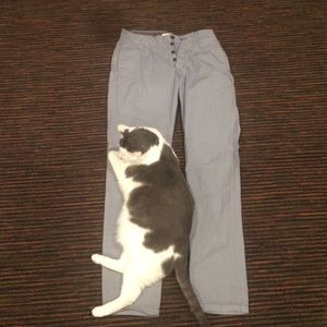 Light Gray pants