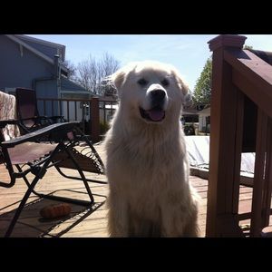 Meet your Posher, Cindy