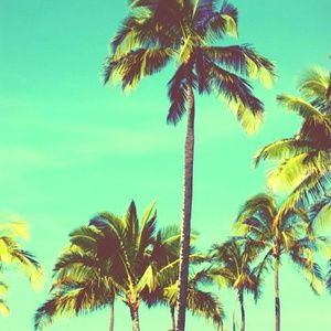 Meet your Posher, Kenneth