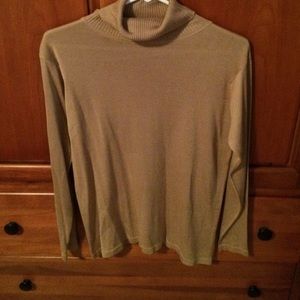 Brown silk turtleneck