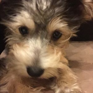 Meet your Posher, Tiffany