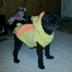 Meet your Posher, Missy