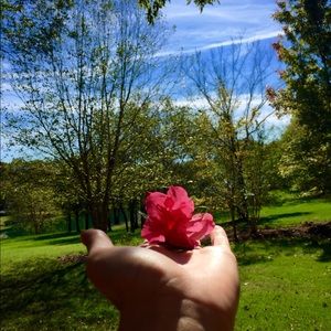 Meet your Posher, Rose