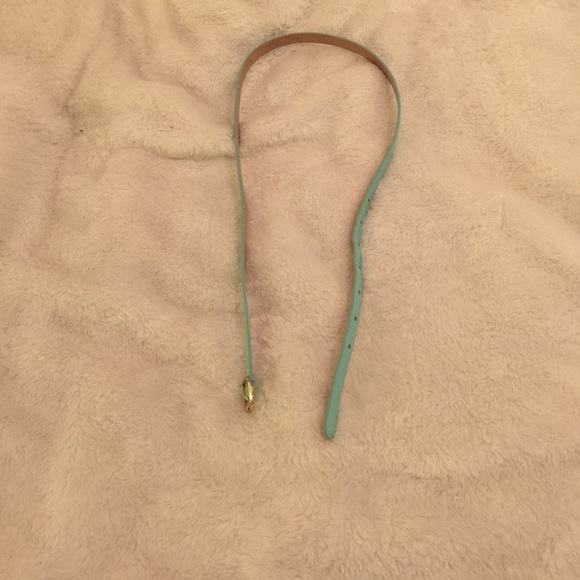 Teal J.Crew Skinny Belt