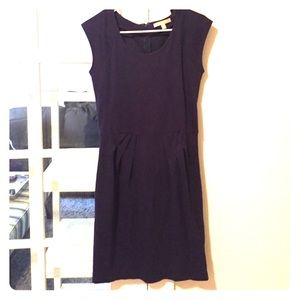 Blue Banana Republic Dress