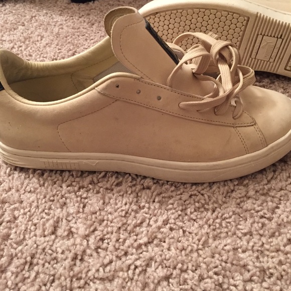 Pumas - Picture 2 of 3