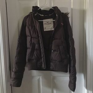 Hollister Winter Jacket
