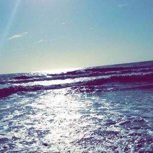 Meet your Posher, Madeline