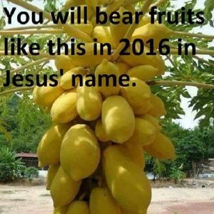 Meet your Posher, George