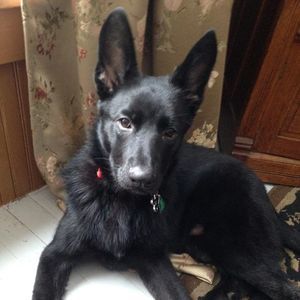 Meet your Posher, Jill