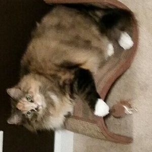 Meet your Posher, Ana