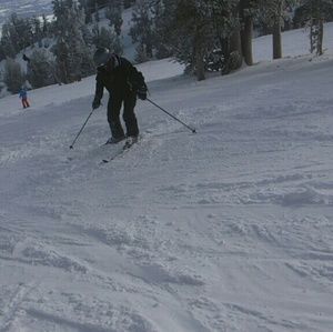 Meet your Posher, Alison