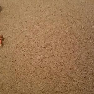 Meet your Posher, Alisha