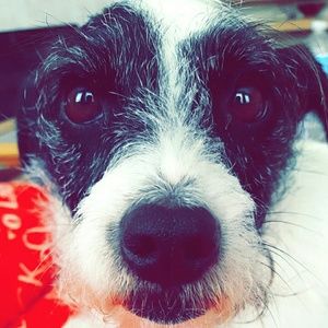 Meet your Posher, Zoe