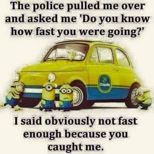 Meet your Posher, Donna