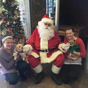 Meet your Posher, Holly