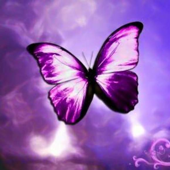 Meet your Posher, Kitty