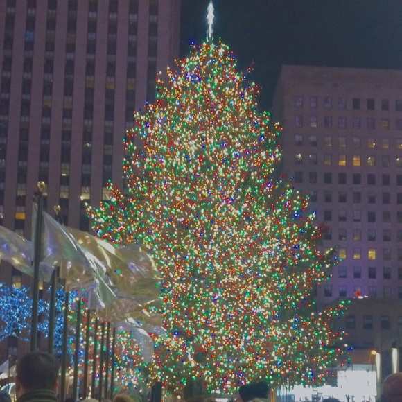 Meet your Posher, Isabella