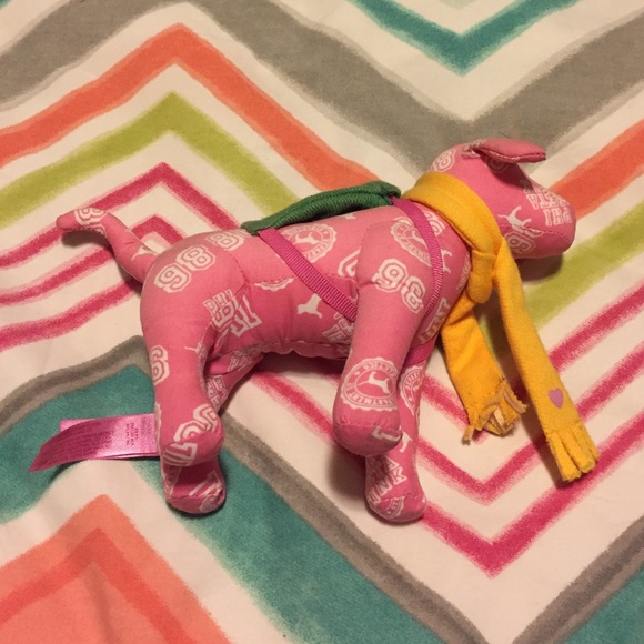 Pink Victoria's Secret dog