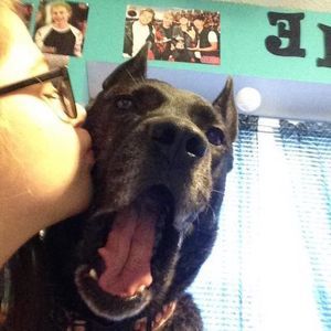 Meet your Posher, Allison