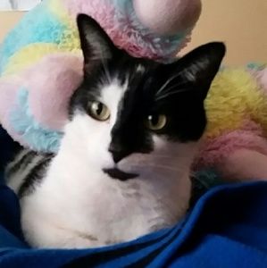 Meet your Posher, Dana