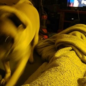 Meet your Posher, Paula