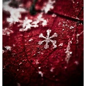 Meet your Posher, Chloe