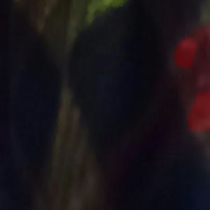 Meet your Posher, Brett