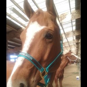 Meet your Posher, Rebecca