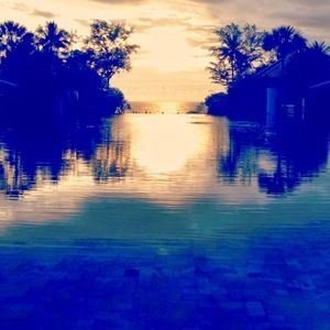 Meet your Posher, Alice