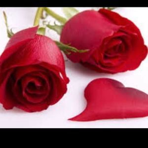 Meet your Posher, Leanne