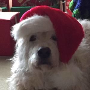 Meet your Posher, Coleen