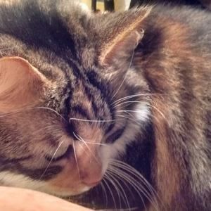 Meet your Posher, Jessie