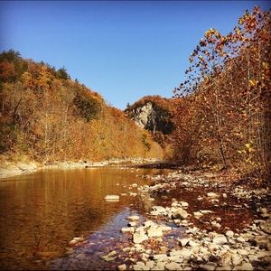 Meet your Posher, Ruth