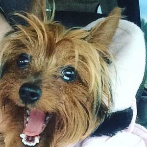 Meet your Posher, Brooke