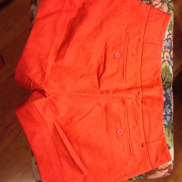 Short 🔴SOLD🔴 - Picture 2 of 2