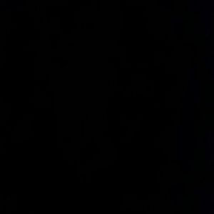 Meet your Posher, Angel