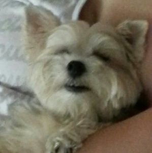 Meet your Posher, Shawna