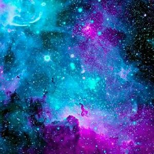 Meet your Posher, Delaney