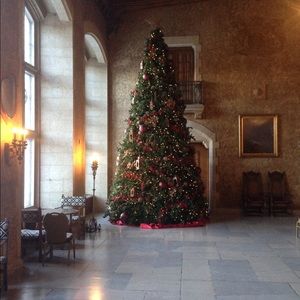 Meet your Posher, Patti