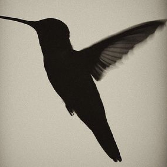 Meet your Posher, Melissa - Picture 1 of 1